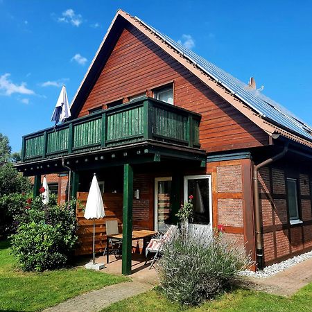 Ferienhaus Sasse Ferienwohnungen Mit Garten & Grill Molschow Εξωτερικό φωτογραφία